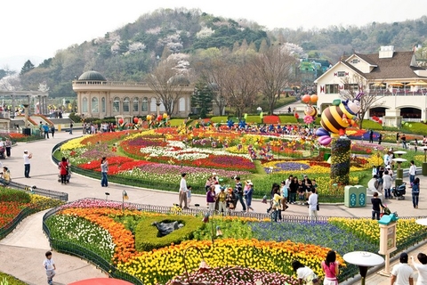 DU LỊCH HÀN QUỐC: SEOUL - JEJU - NAMI - EVERLAND