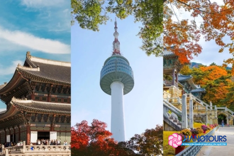 Tour du lịch Hàn Quốc 5 ngày 4 đêm no shopping mùa hoa anh đào - hè 2026: Seoul - Nami