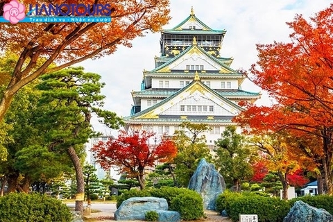 Cung đường vàng Nhật Bản: Hà Nội - Nagoya - Osaka - Kyoto - Núi Phú Sĩ - Tokyo