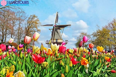 Khám phá lễ hội hoa Tuylip Keukenhof lớn nhất thế giới Việt Nam - Đức - Hà Lan - Bỉ - Pháp - Việt Nam
