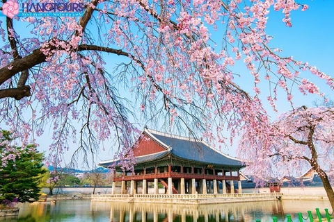 Du lịch Hàn Quốc 2018: Seoul - Nami - Everland - Viện hải dương Coex - Công viên hoa anh đào Yeouido - 3D + Bảo tàng Đá Tuyết