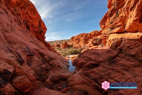 TOUR HÈ HOA KỲ 2026 LIÊN TUYẾN BỜ ĐÔNG - BỜ TÂY