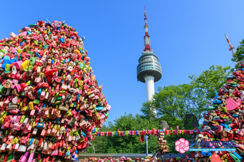 Tour du lịch Hàn Quốc 6 ngày 5 đêm mùa hoa anh đào: Busan - Seoul