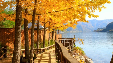 Tour du lịch Hàn Quốc 5 ngày 4 đêm Tết dương và âm lịch 2026: Seoul