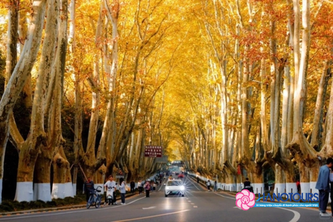 KHÁM PHÁ THƯỢNG HẢI – HÀNG CHÂU – Ô TRẤN 2026