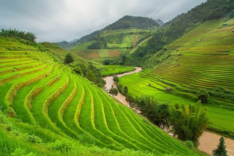 Tour Mù Căng Chải - Nghĩa Lộ 3 ngày 2 đêm