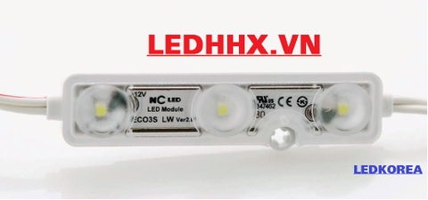 Module 3 LED Korea