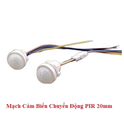 Mạch Cảm Biến Chuyển Động PIR 20mm