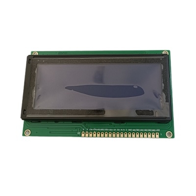 LCD19264A-B (100*60mm)