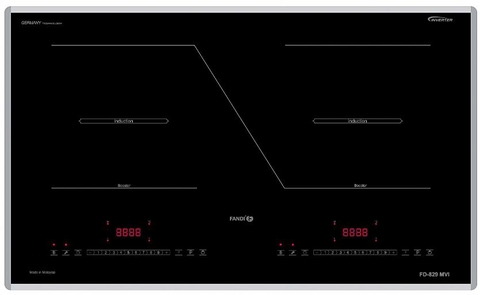 Bếp từ Fandi FD-829MVI