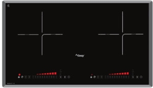 Bếp từ Canzy CZ T01