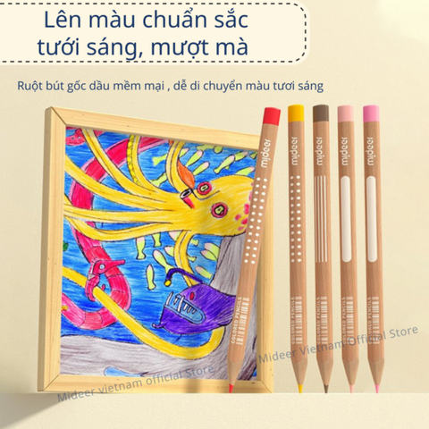 Mideer  Bút chì màu cao cấp Vibrant Colored Pencil