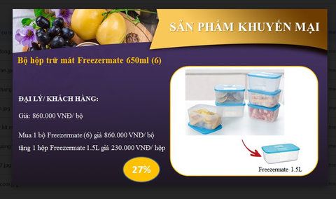 Tupperware Hà Lâm - Bộ hộp trữ đông 650ml