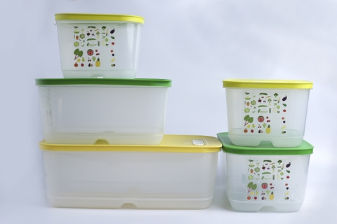 Tupperware Hà Lâm - Bộ hộp trữ mát Vensmart (5 hộp)
