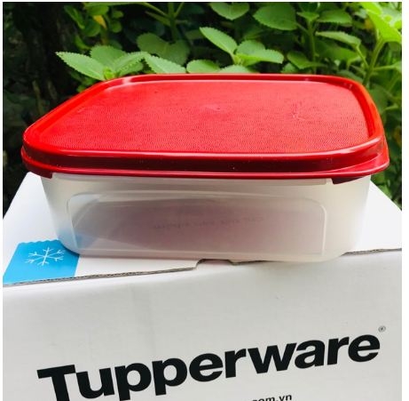 Tupperware Hà Lâm - Hộp kệ bếp Modular Mate vuông 1 (1.2L)
