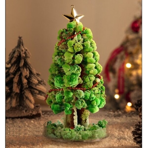 Mideer - Cây thông Noel tự nở thần kỳ