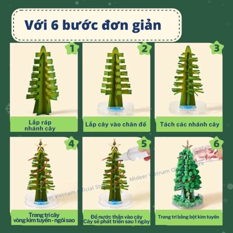 Mideer - Cây thông Noel tự nở thần kỳ