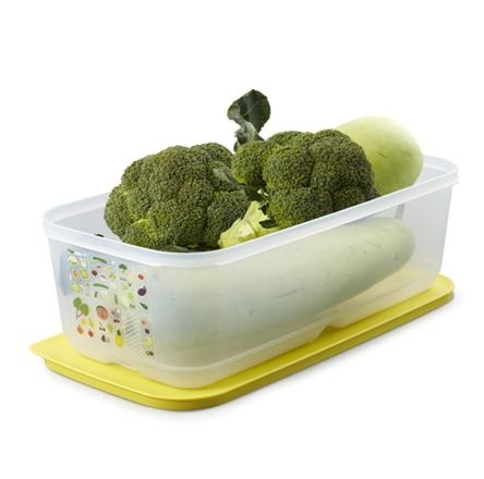 Tupperware Hà Lâm - Hộp trữ mát Vensmart 6.1 L