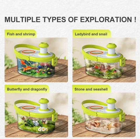 Hộp Đựng Quan Sát Côn Trùng Mideer Insect Box