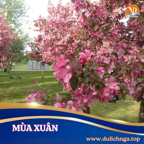 Cung Đường Vàng nước Nga 2026 bay Emirate 5 sao ngày 12/5/26