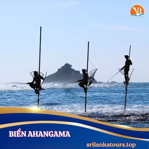 SRI LANKA Hành trình Kim cương 8N8Đ - khởi hành 15/10/2026