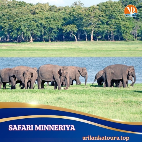 SRI LANKA Hành trình Vàng 6 ngày - khởi hành 23/02/2027