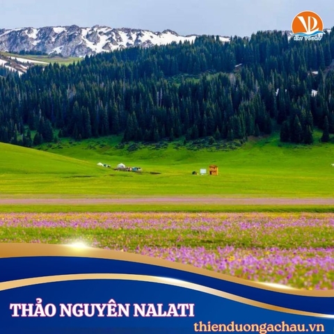 BẮC TÂN CƯƠNG MÙA HẠ