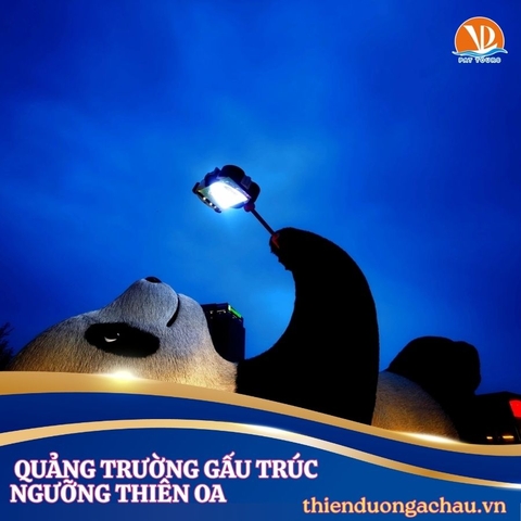 Trung Quốc 6N5Đ: TRÙNG KHÁNH – CỬU TRẠI CÂU – ĐÔ GIANG YẾN
