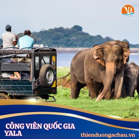 SRI LANKA - Hành trình vàng 7N6D , KH : 13/01/2027