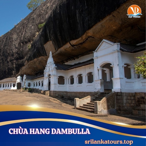 SRI LANKA Hành trình Vàng - khởi hành 18/08