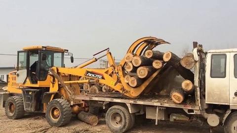 Máy kẹp gỗ AoLite tải trọng nâng 2 tấn ZL920