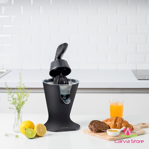EJJ256BLK