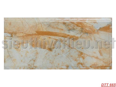 Gạch Trang Trí DTT 665