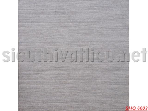 Gạch Trang Trí SHQ 6603