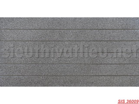 Gạch Trang Trí SIS 36009