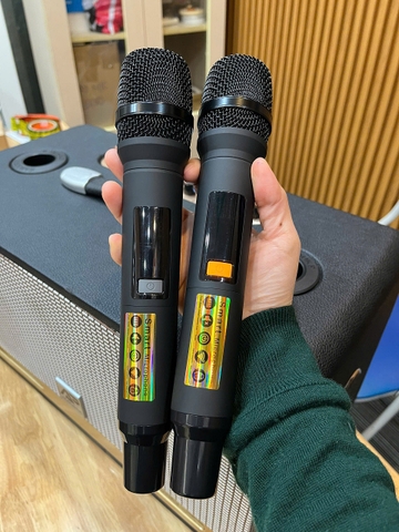 Loa xách tay cao cấp AP Acoustic