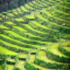 Bán tay co thủy  lực tại Điện Biên