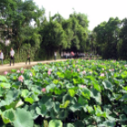 Bán tay co thủy  lực tại Nghệ An