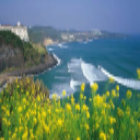 Bán tay co thủy  lực tại Quảng Bình