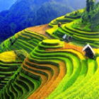 Bán tay co thủy  lực tại Yên Bái