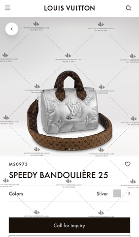 LV SPEEDY BANDOULIERE 25 M20973 - LIKE AUTH 99%