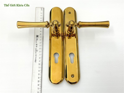 Khóa Cửa Cao Cấp Gold SSA BM-5665-PVD