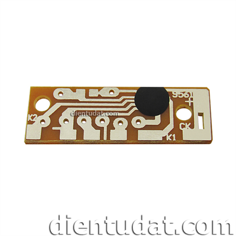 PCB Mạch Âm Thanh - 4 Tiếng