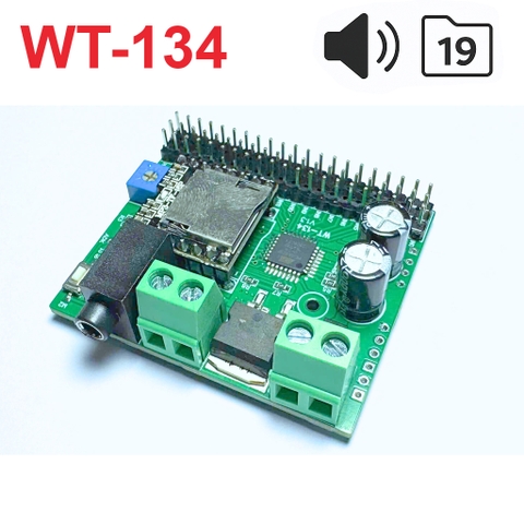 Mạch Kích Phát 19 Cổng Âm Thanh MP3 Công Suất 3W WT-134
