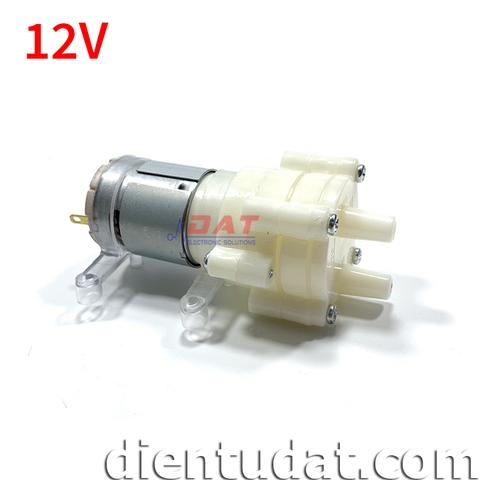Động Cơ Bơm 12V - R365