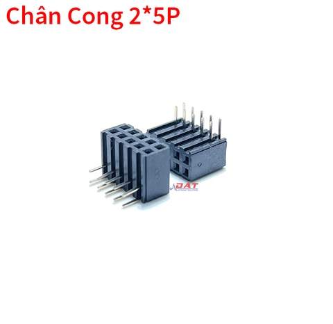Header Cái 2.0mm Xuyên Lỗ Chân Cong 10P 2*5P