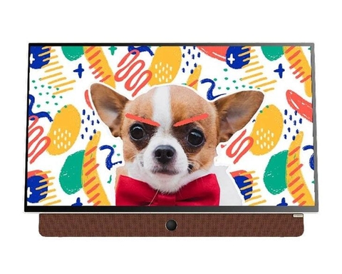 Tivi LED 24 Inch Skyworth 24P6300