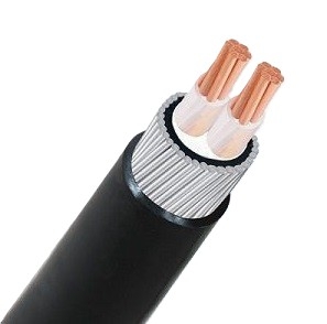 Cáp điện lực hạ thế LiOA - CVV 0.6/1kV - TCVN 5935-1 (2 lõi, ruột đồng, cách điện PVC, vỏ PVC) (1 mét)
