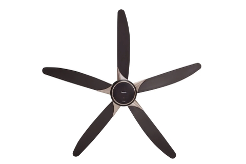 Quạt trần Panasonic F-60GDS-BS