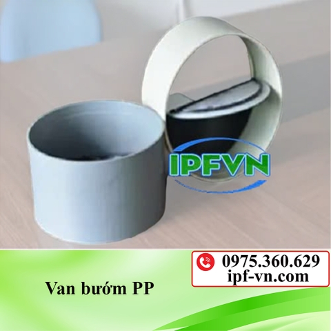 Van bướm PP